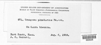 Image Associated With the Occurence